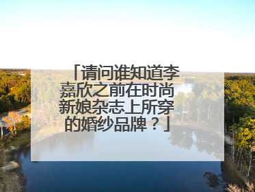 请问谁知道李嘉欣之前在时尚新娘杂志上所穿的婚纱品牌？