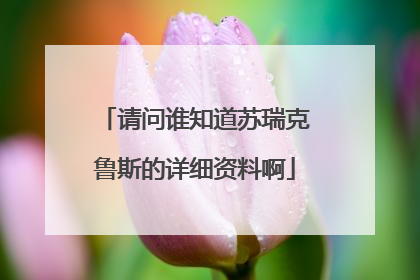 请问谁知道苏瑞克鲁斯的详细资料啊