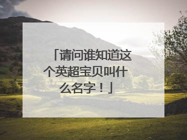 请问谁知道这个英超宝贝叫什么名字！