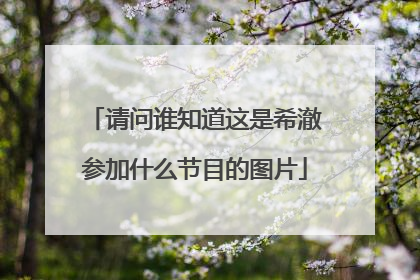 请问谁知道这是希澈参加什么节目的图片