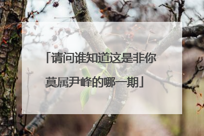 请问谁知道这是非你莫属尹峰的哪一期