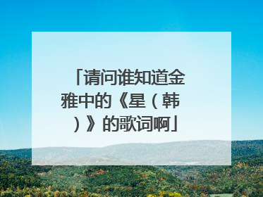 请问谁知道金雅中的《星（韩）》的歌词啊