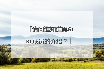 请问谁知道黑GIRL成员的介绍？