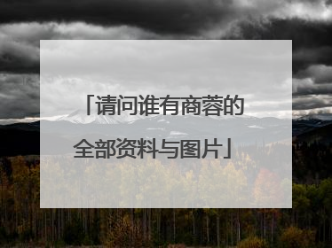 请问谁有商蓉的全部资料与图片