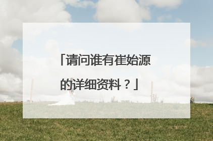 请问谁有崔始源的详细资料?