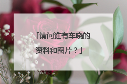 请问谁有车晓的资料和图片？