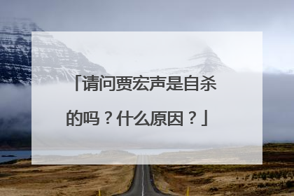 请问贾宏声是自杀的吗?什么原因?