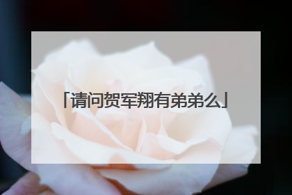 请问贺军翔有弟弟么