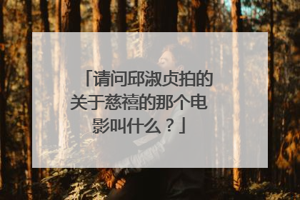 请问邱淑贞拍的关于慈禧的那个电影叫什么？