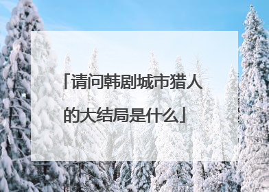 请问韩剧城市猎人的大结局是什么