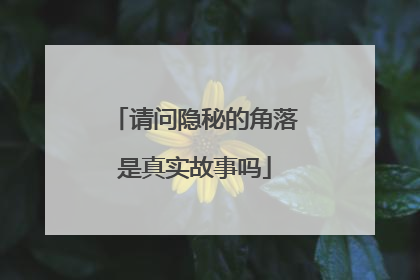请问隐秘的角落是真实故事吗
