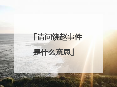 请问饶赵事件是什么意思