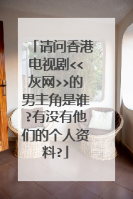 请问香港电视剧<<灰网>>的男主角是谁?有没有他们的个人资料?