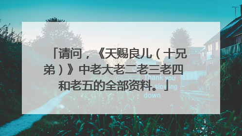 请问,《天赐良儿(十兄弟)》中老大老二老三老四和老五的全部资料。
