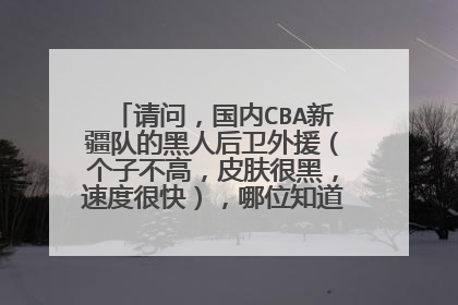 请问，国内CBA新疆队的黑人后卫外援（个子不高，皮肤很黑，速度很快），哪位知道他的简要介绍呢？