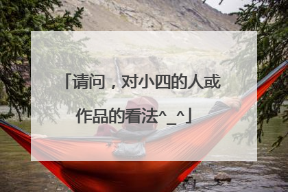 请问，对小四的人或作品的看法^_^