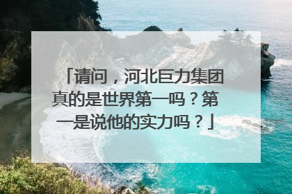 请问，河北巨力集团真的是世界第一吗？第一是说他的实力吗？