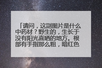 请问，这副图片是什么中药材？野生的，生长于没有阳光直晒的地方。根部有手指那么粗，暗红色，高度有二十