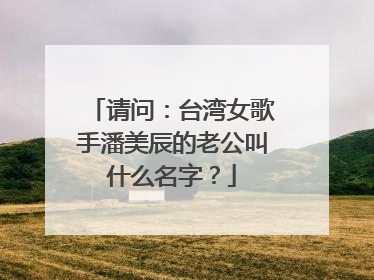 请问：台湾女歌手潘美辰的老公叫什么名字？