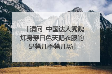 请问 中国达人秀魏炜身穿白色天鹅衣服的是第几季第几场