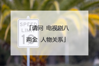 请问 电视剧八两金 人物关系