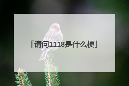请问1118是什么梗