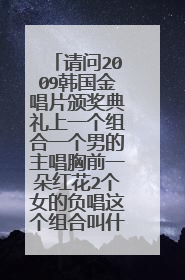 请问2009韩国金唱片颁奖典礼上一个组合一个男的主唱胸前一朵红花2个女的负唱这个组合叫什么！