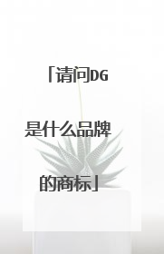 请问DG是什么品牌的商标