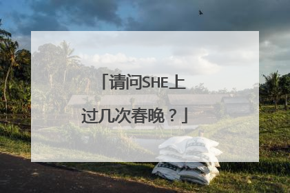 请问SHE上过几次春晚？