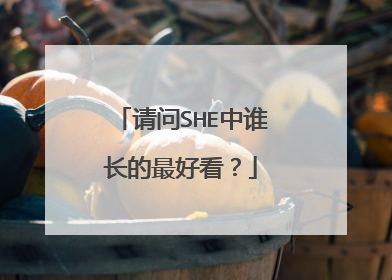 请问SHE中谁长的最好看？