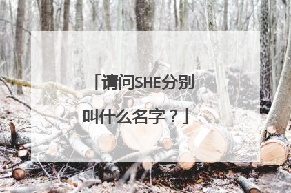 请问SHE分别叫什么名字?