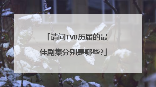 请问TVB历届的最佳剧集分别是哪些?