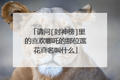 请问[封神榜]里的喜欢哪吒的那位莲花真名叫什么