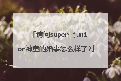 请问super junior神童的婚事怎么样了?