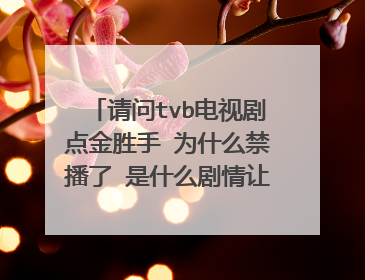 请问tvb电视剧点金胜手 为什么禁播了 是什么剧情让他要被禁播了 求清晰表达~thank you
