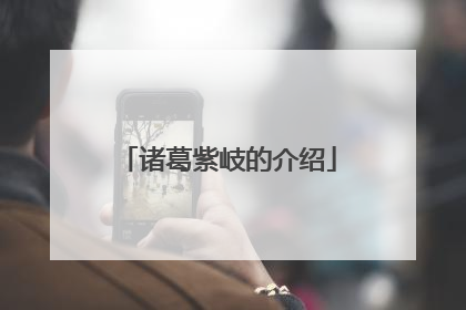 诸葛紫岐的介绍