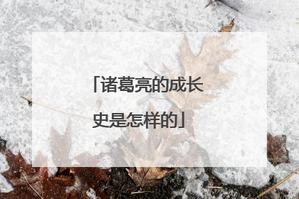 诸葛亮的成长史是怎样的