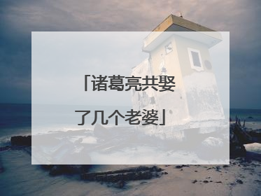 诸葛亮共娶了几个老婆