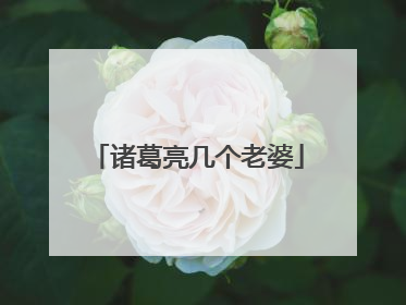 诸葛亮几个老婆