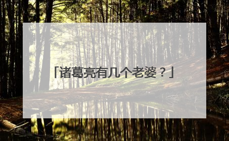 诸葛亮有几个老婆？