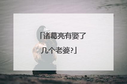 诸葛亮有娶了几个老婆?