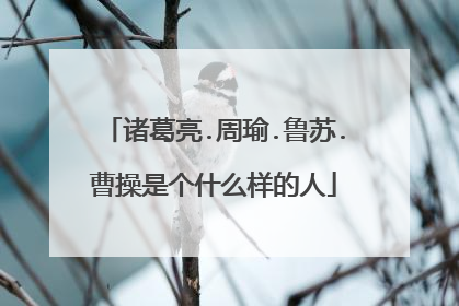 诸葛亮.周瑜.鲁苏.曹操是个什么样的人