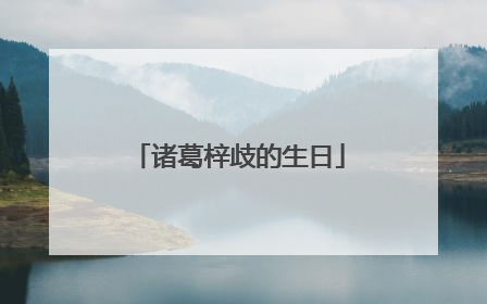 诸葛梓歧的生日