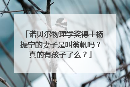 诺贝尔物理学奖得主杨振宁的妻子是叫翁帆吗?真的有孩子了么?