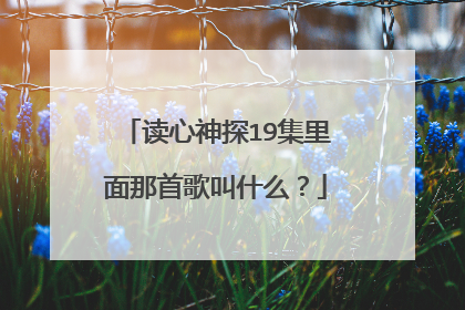 读心神探19集里面那首歌叫什么？