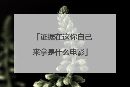 证据在这你自己来拿是什么电影