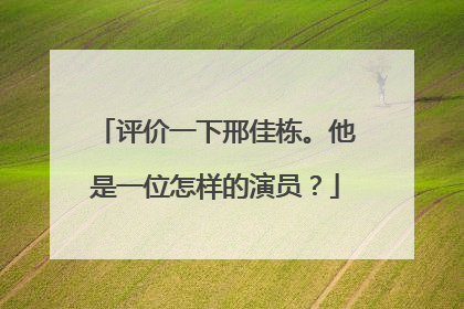 评价一下邢佳栋。他是一位怎样的演员?