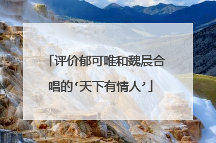 评价郁可唯和魏晨合唱的‘天下有情人’