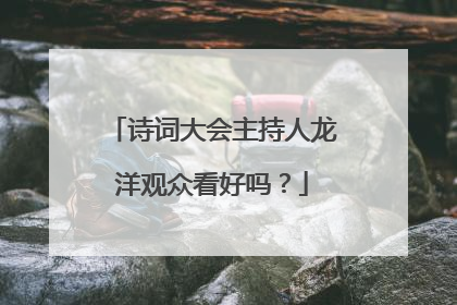 诗词大会主持人龙洋观众看好吗？