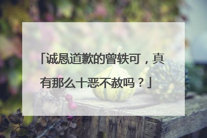 诚恳道歉的曾轶可,真有那么十恶不赦吗?